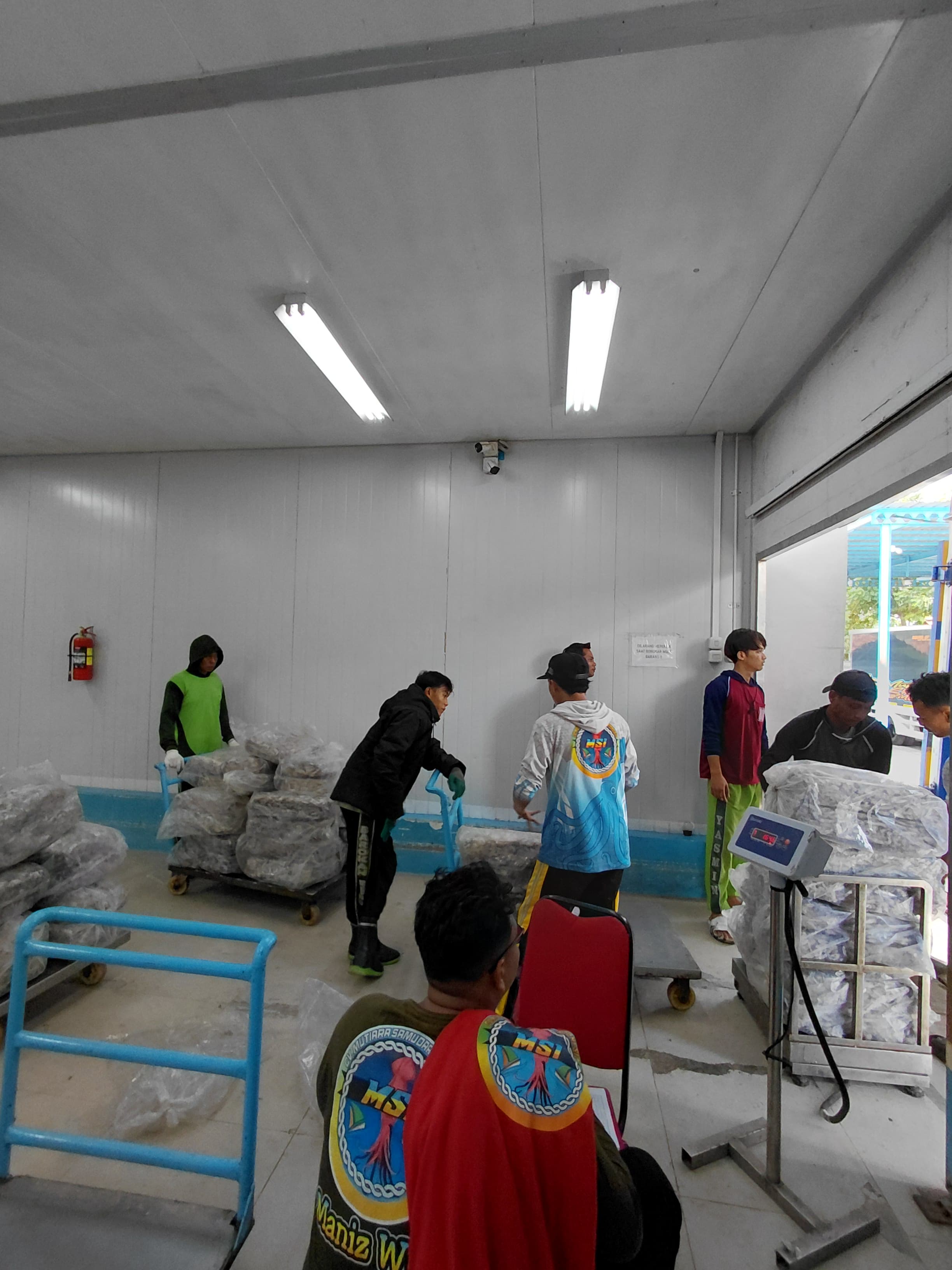 Cold Storage Interior 400 Ton